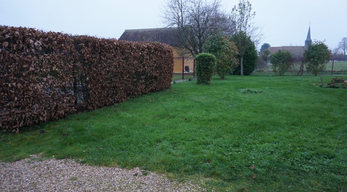 DSC00579