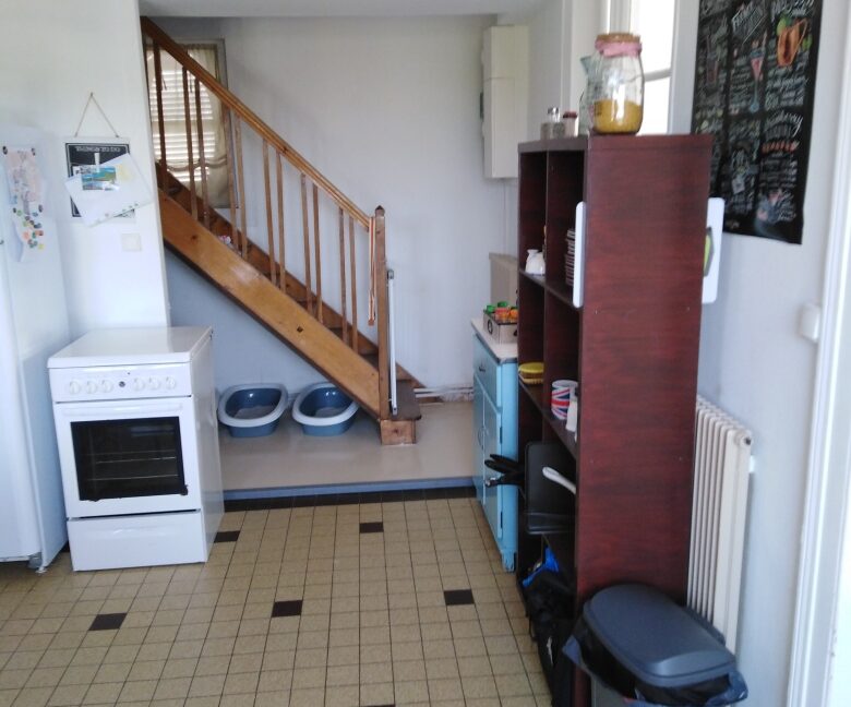 IMG_20190717_100732_resized_20190717_113838575