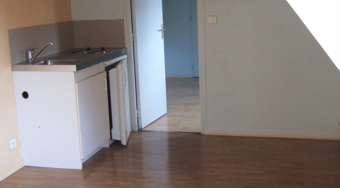 Séjour coin cuisine